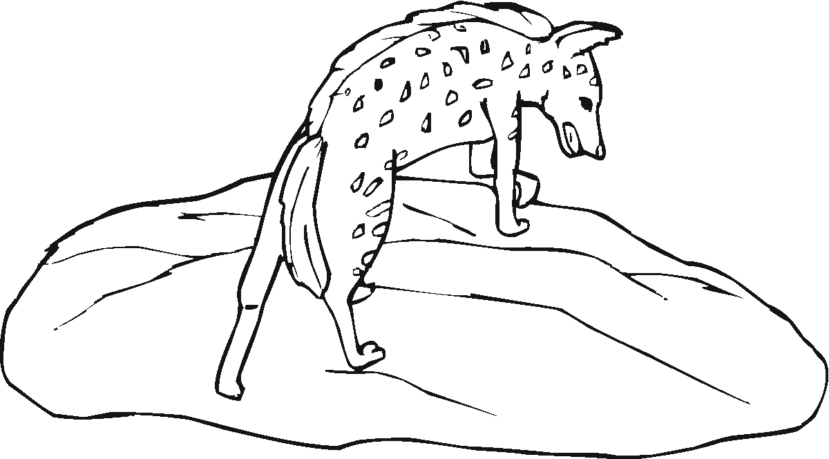 Hiena kolorowanki